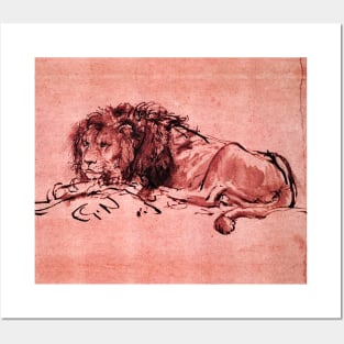 THE CAPE LION LYING DOWN, by Rembrandt Pink Red Hues Posters and Art